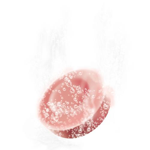 【日用雑貨】＜紀陽除虫菊＞7プログラム　ボタニカルバス　7錠