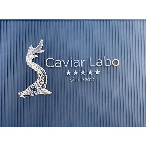 ＜S Caviar Labo＞晋也キャビア25g