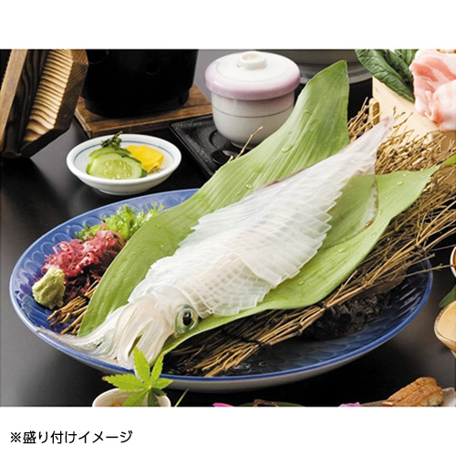 【佐賀県】呼子産剣先イカ姿造り２杯