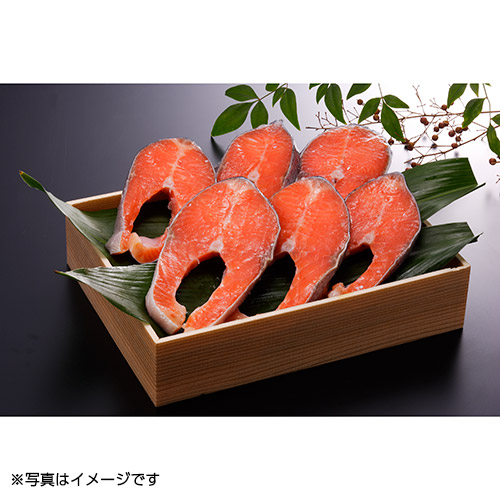 氷温熟成　トラウトサーモン切身