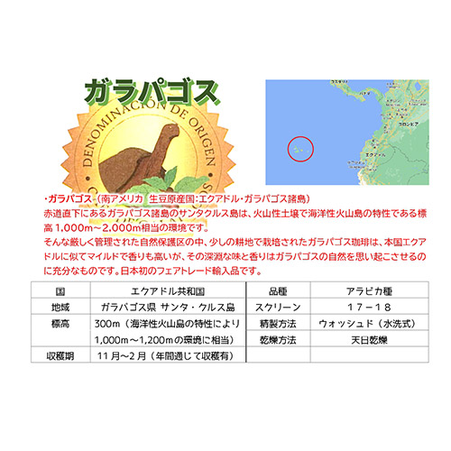 ＜いづみや珈琲＞ガラパゴス＆セレクティッドドリップカフェセット