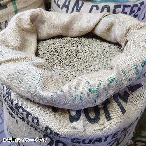 ＜いづみや珈琲＞ガラパゴス＆セレクティッドドリップカフェセット