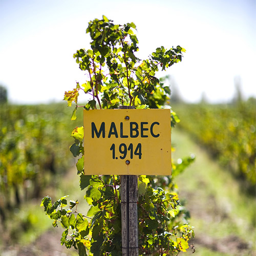 【送料当社負担】★数量限定ワインバック付き★＜カテナ＞世界屈指のプレミアムワイナリー「カテナ」を堪能！赤白4本セット