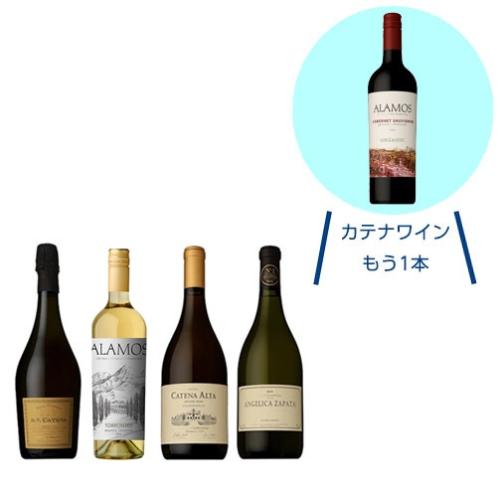 【送料当社負担】★数量限定ワインプラス1本★＜カテナ＞アルゼンチンの果実味豊かな泡白4本セット