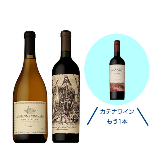 【送料当社負担】★数量限定ワインプラス1本★＜カテナ＞有名ワイン誌で高得点獲得！カテナを代表する赤白2本セット