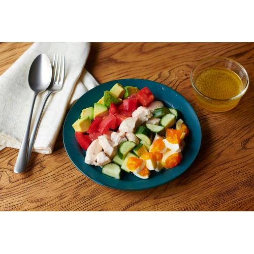 ＜ビタントニオ＞スチーマープラス　VFS-20