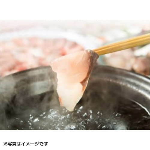 【限定納品】大分県産天然一本釣りぶり（セキブリ）しゃぶしゃぶセット刺身、鍋、３人前