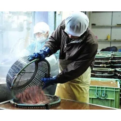 ＜ANA FINDS＞富山・北陸やみつきツマミ4袋セット（ほたるいか＆白えび）