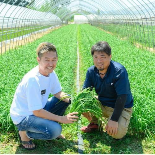 ＜ANA FINDS＞大分・驚きのめし友食べるニラ醤油3本セット