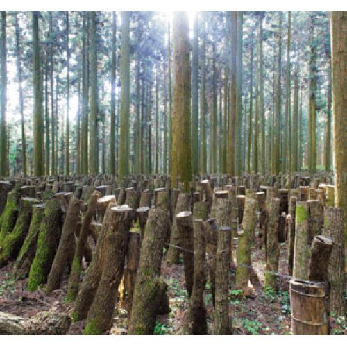 ＜ANA FINDS＞大分・姫野一郎商店　豊後牛と椎茸のしぐれ煮3袋セット