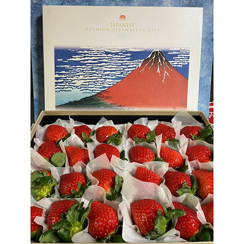 ＜福岡県産＞博多完熟苺HOKUSAIGIFT24【受注締め切り日：2026/5/5】