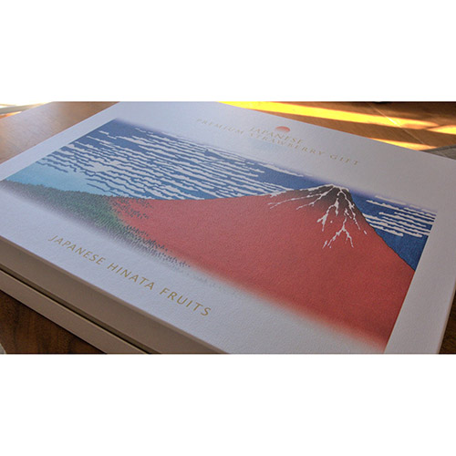 ＜福岡県産＞博多完熟苺HOKUSAIGIFT24【受注締め切り日：2026/5/5】