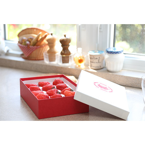 ＜福岡県産＞博多完熟苺12【受注締め切り日：2026/5/5】