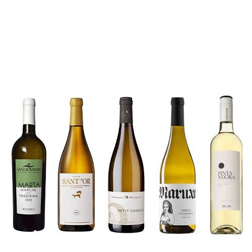 【送料当社負担】＜A-styleソムリエ厳選＞ワインの表現を学ぶ！「ミネラル」を感じる白ワイン5本セット