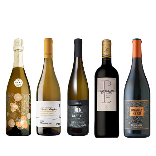 【送料当社負担】＜A-styleソムリエ厳選＞ワインの表現を学ぶ！「華やかさ」を感じる赤白泡5本セット