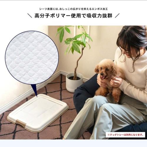 ＜コーナンオリジナル＞薄型ペットシーツ レギュラー800枚