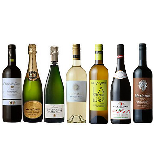【送料当社負担】シャンパン入り金賞受賞フランス7大生産地ワインセット