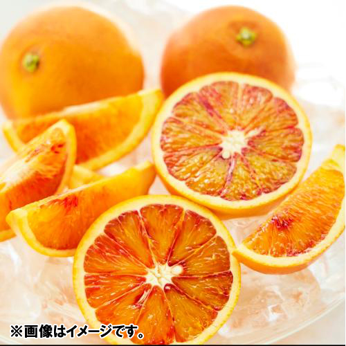 ＜愛媛県産＞【希望の島】ブラッドオレンジ（タロッコ）2kg【受注締め切り日：2026/4/20】