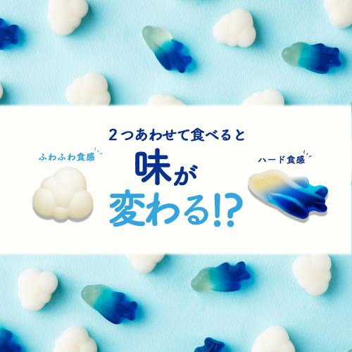 <ANA FINDELISH>青組　10袋セット