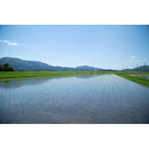 ＜山城屋酒造＞純米吟醸 鴻城乃誉と純米酒 スギヒメ　飲み比べ2本セット