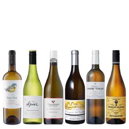 ＿【送料当社負担】＜A-styleソムリエ厳選＞世界のソーヴィニヨン・ブランを堪能6本セット