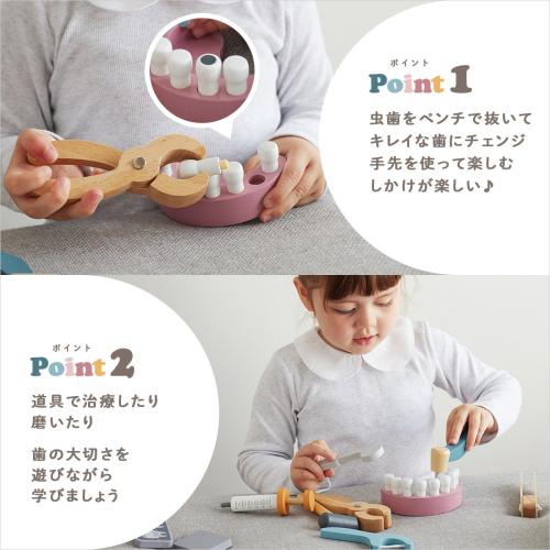 ＜PolarB＞デンタルセット