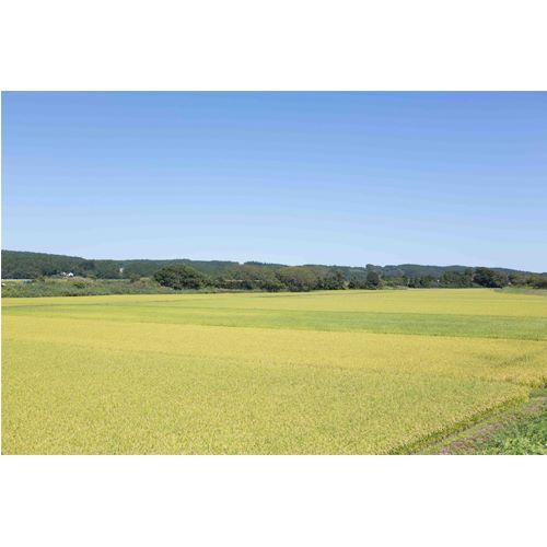 ＜八戸酒類＞如空 華想い純米大吟醸 720ml【青森県】