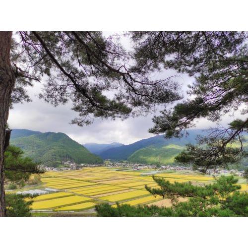 ＜永井酒造＞水芭蕉　純米大吟醸