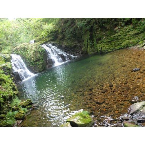 ＜瀧自慢酒造＞瀧自慢 純米大吟醸 匠35 720ml【三重県】