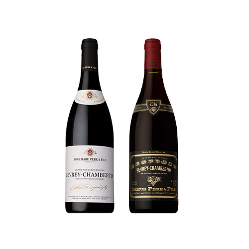 【送料当社負担】銘醸地ジュヴレ シャンベルタン飲み比べ2本セット