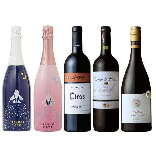 【送料当社負担】＜ANAオリジナル＞HIKOUKI CAVA(飛行機カヴァ）とフランス濃厚赤ワインの5本セット