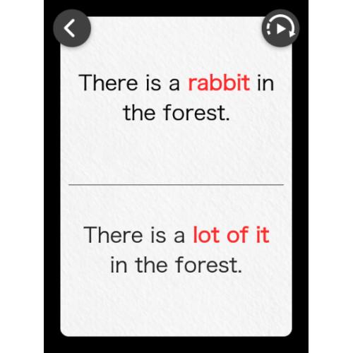 ＜ポケトーク＞ポケトークS　Plus