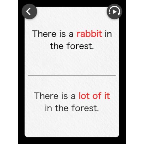 ＜ポケトーク＞ポケトークS