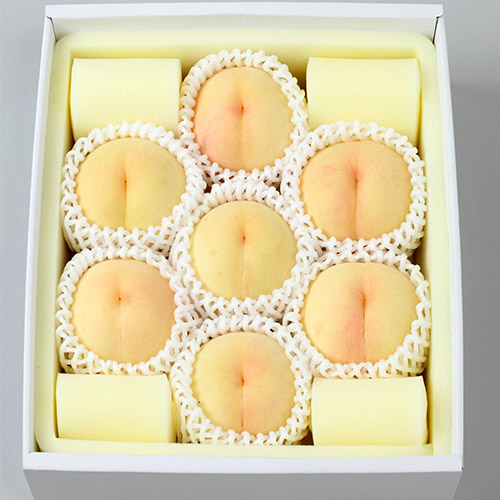 岡山の桃7玉【受注締め切り日：2026/7/31】