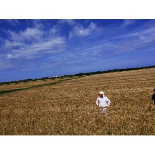 金沢百万石ビール瓶6本ギフトセット