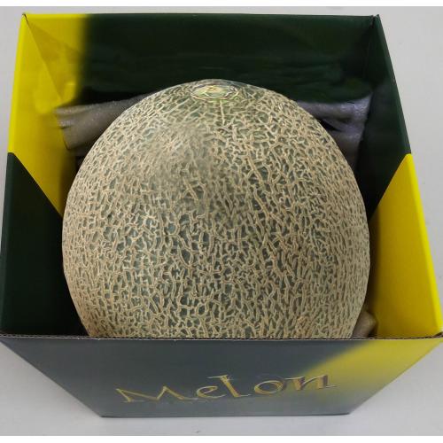 ＜千葉・茨城県産＞タカミメロン1.5kg（1玉）【受注締め切り日：2026/7/10】