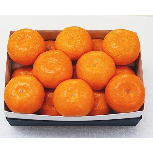 ＜佐賀・大分県産＞温室みかん1kg【受注締め切り日：2026/7/20】