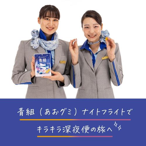＜ANA FINDELISH＞青組（あおグミ）ナイトフライト　10袋セット