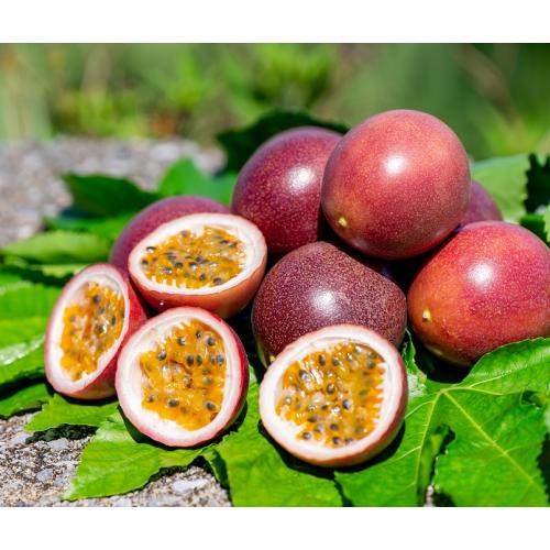 ＜沖縄情熱農園＞情熱の女神1kg（8～10玉）【受注締め切り日：2026/6/15】