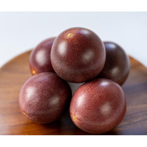 ＜沖縄情熱農園＞情熱の女神1kg（8～10玉）【受注締め切り日：2026/6/15】