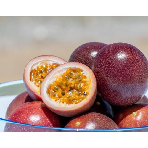 ＜沖縄情熱農園＞情熱の女神1kg（8～10玉）【受注締め切り日：2026/6/15】