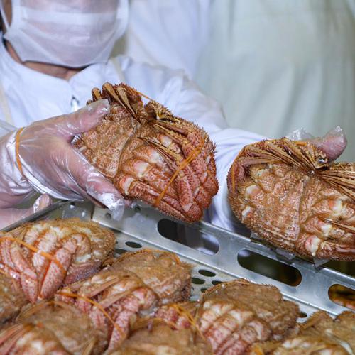 ＜北海道＞蒸し毛がに（１尾）５００g