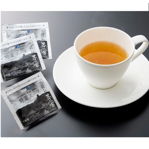 【母の日】カーネーション鉢＆茅乃舎スープ【受注締め切り日：2026/4/29】