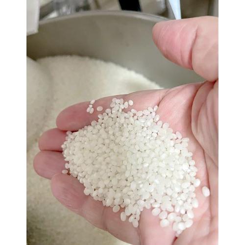 夏季限定＜春鹿＞純米大吟醸＆純米吟醸生酒セット