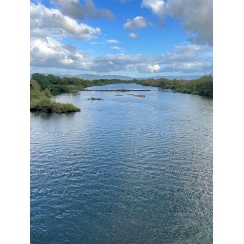 ★夏季限定★＜加藤嘉八郎酒造＞大山 純米大吟醸無濾過生原酒と特別純米生酒の2本セット