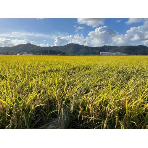 ★夏季限定★＜加藤嘉八郎酒造＞大山 純米大吟醸無濾過生原酒と特別純米生酒の2本セット