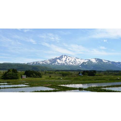 ＜飛良泉＞飛囀プレミアムセット