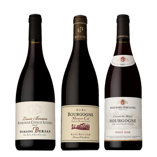 【送料当社負担】銘醸地ブルゴーニュ赤ワイン飲み比べ3本セット