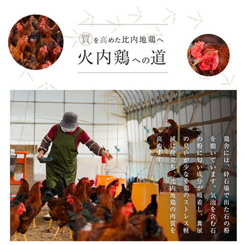 比内地鶏　しゃぶしゃぶセット