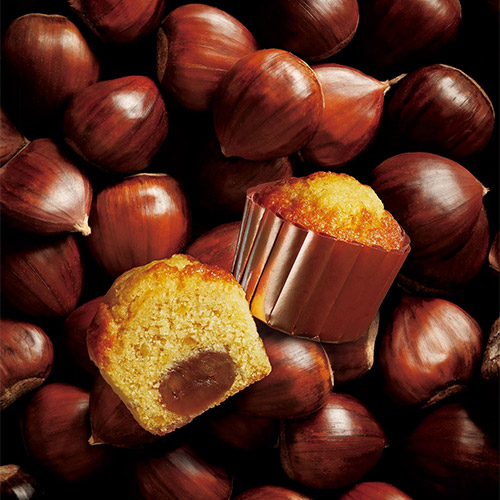 〈ブールミッシュ〉 焼菓子詰合せ